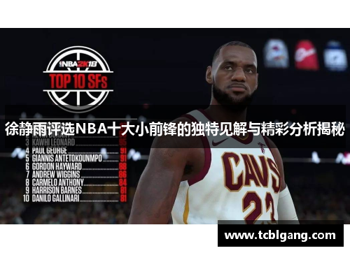 徐静雨评选NBA十大小前锋的独特见解与精彩分析揭秘